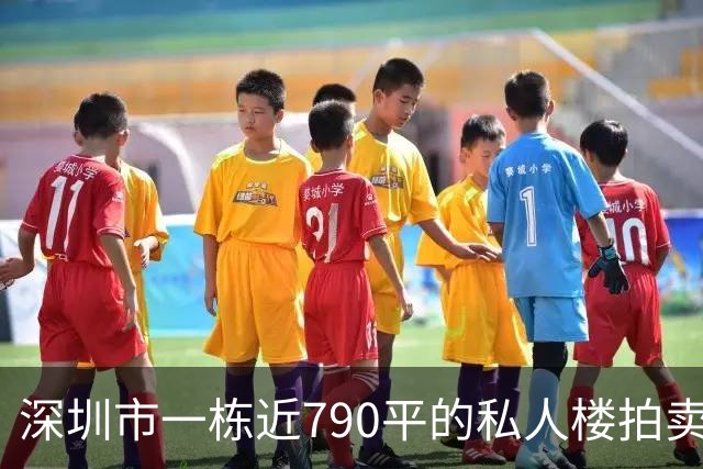 深圳市一栋近790平的私人楼拍卖,被人755万元拿下了